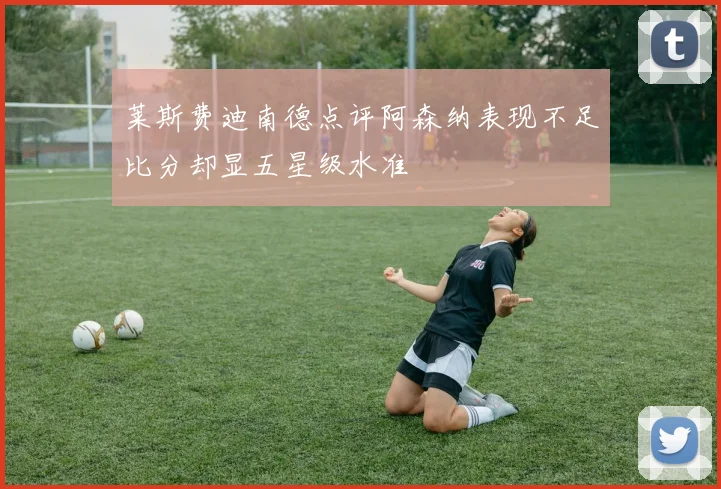 莱斯费迪南德点评阿森纳表现不足比分却显五星级水准
